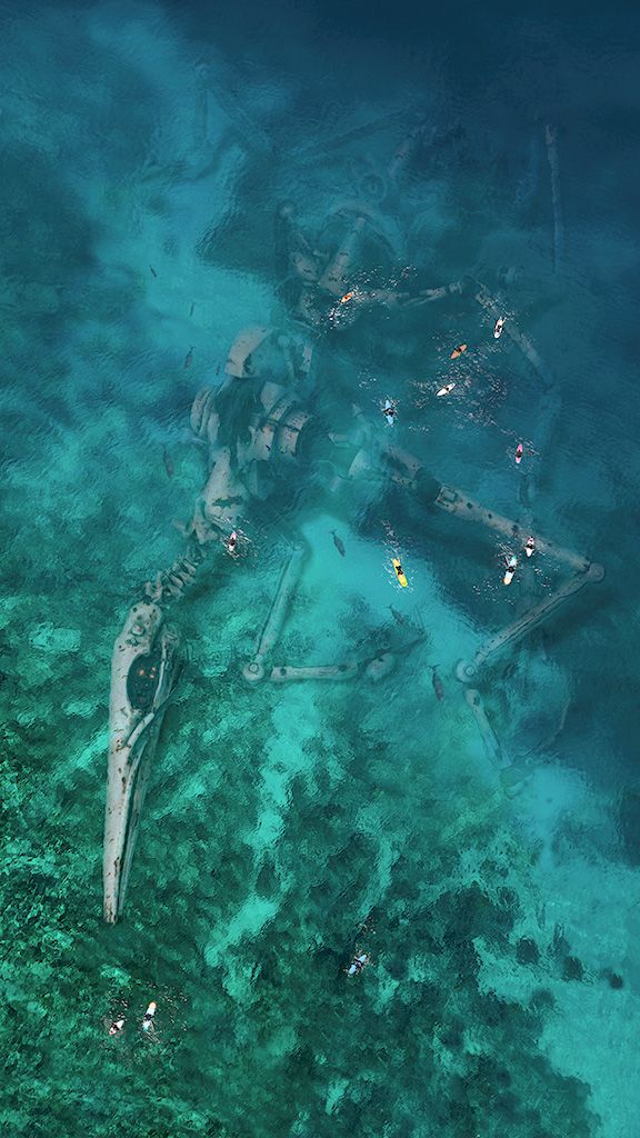 Shelter Construction